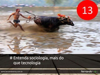 www.fernandoleroy.com.br 
13 
 