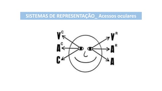 SISTEMAS DE REPRESENTAÇÃO_ Acessos oculares
 