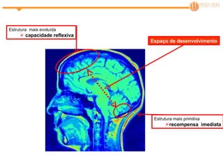 Estrutura mais primitiva recompensa  imediata Estrutura  mais evoluída capacidade reflexiva Espaço de desenvolvimento 