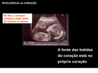 INTELIGÊNCIA do CORAÇÃO A fonte das batidas do coração está no próprio coração No feto, o coração começa a bater antes do cérebro se formar 