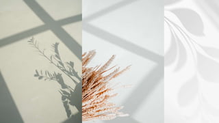 Comunicação Visual.pptx