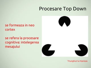 Procesare Top Down


se formeaza in neo
cortex

se refera la procesare
cognitiva: intelegerea
mesajului



                                   Triunghiul lui Kanisza
 