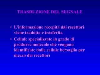 L’informazione recepita dai recettori viene tradotta e trasferita Cellule specializzate in grado di produrre molecole che vengono identificate dalle cellule bersaglio per mezzo dei recettori TRASDUZIONE DEL SEGNALE 