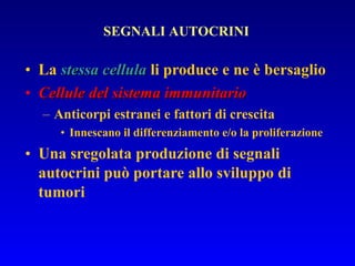 La  stessa cellula  li produce e ne è bersaglio Cellule del sistema immunitario Anticorpi estranei e fattori di crescita Innescano il differenziamento e/o la proliferazione Una sregolata produzione di segnali autocrini può portare allo sviluppo di tumori SEGNALI AUTOCRINI 