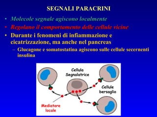 Molecole segnale agiscono localmente Regolano il comportamento delle cellule vicine Durante i fenomeni di infiammazione e cicatrizzazione, ma anche nel pancreas Glucagone e somatostatina agiscono sulle cellule secernenti insulina SEGNALI PARACRINI Mediatore locale Cellule bersaglio Cellula Segnalatrice 