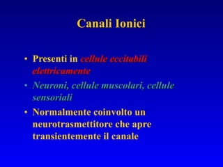 Presenti in  cellule eccitabili elettricamente Neuroni, cellule muscolari, cellule sensoriali Normalmente coinvolto un neurotrasmettitore che apre transientemente il canale Canali Ionici 