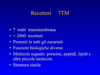 Recettori  7TM 7  tratti  transmembrana > 2000  recettori  Presenti in tutti gli eucarioti Funzioni biologiche diverse Molecole segnale: proteine, peptidi, lipidi e altre piccole molecole Struttura simile 