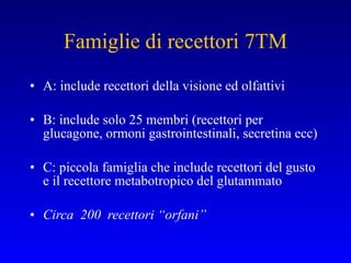 Famiglie di recettori 7TM A: include recettori della visione ed olfattivi B: include solo 25 membri (recettori per glucagone, ormoni gastrointestinali, secretina ecc) C: piccola famiglia che include recettori del gusto e il recettore metabotropico del glutammato Circa  200  recettori “orfani” 