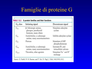 Famiglie di proteine G 