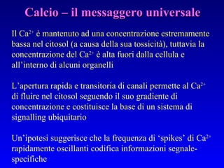 Calcio – il messaggero universale Il Ca 2+  è mantenuto ad una concentrazione estremamente bassa nel citosol (a causa della sua tossicità), tuttavia la concentrazione del Ca 2+  è alta fuori dalla cellula e all’interno di alcuni organelli L’apertura rapida e transitoria di canali permette al Ca 2+  di fluire nel citosol seguendo il suo gradiente di concentrazione e costituisce la base di un sistema di signalling ubiquitario Un’ipotesi suggerisce che la frequenza di ‘spikes’ di Ca 2+  rapidamente oscillanti codifica informazioni segnale-specifiche 