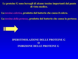 Le proteine G sono bersagli di alcune tossine importanti dal punto di vista medico.  La  tossina colerica , prodotta dal batterio che causa il colera. IPERSTIMOLAZIONE DELLE PROTEINE G O INIBIZIONE DELLE PROTEINE G  La  tossina della pertosse , prodotta dal batterio che causa la pertosse.  