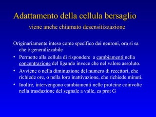 Originariamente inteso come specifico dei neuroni, ora si sa che è generalizzabile Permette alla cellula di rispondere  a  cambiamenti  nella  concentrazione  del ligando invece che nel valore assoluto. Avviene o nella diminuzione del numero di recettori, che richiede ore, o nella loro inattivazione, che richiede minuti. Inoltre, intervengono cambiamenti nelle proteine coinvolte nella trasduzione del segnale a valle, es prot G Adattamento della cellula bersaglio   viene anche chiamato desensitizzazione  