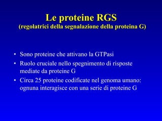 Le proteine RGS  (regolatrici della segnalazione della proteina G) Sono proteine che attivano la GTPasi  Ruolo cruciale nello spegnimento di risposte mediate da proteine G Circa 25 proteine codificate nel genoma umano: ognuna interagisce con una serie di proteine G 