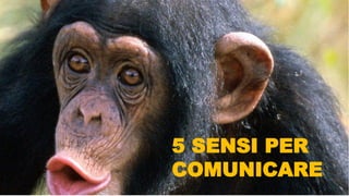 5 SENSI PER
COMUNICARE
 