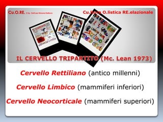 Cervello Rettiliano (antico millenni)
Cervello Limbico (mammiferi inferiori)
Cervello Neocorticale (mammiferi superiori)
Cu.O.RE. © by Dott.ssa Simona Dalloca Cu.ltura O.listica RE.elazionale
 
