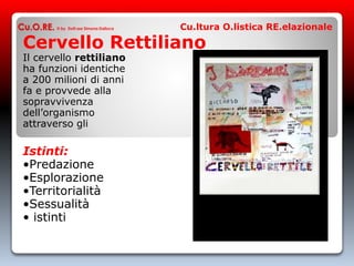 Cervello Rettiliano
Il cervello rettiliano
ha funzioni identiche
a 200 milioni di anni
fa e provvede alla
sopravvivenza
dell’organismo
attraverso gli
Istinti:
•Predazione
•Esplorazione
•Territorialità
•Sessualità
• istinti
Cu.O.RE. © by Dott.ssa Simona Dalloca Cu.ltura O.listica RE.elazionale
 