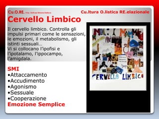 Cervello Limbico
Il cervello limbico. Controlla gli
impulsi primari come le sensazioni,
le emozioni, il metabolismo, gli
istinti sessuali…
Vi si collocano l’ipofisi e
l’ipotalamo, l’ippocampo,
l’amigdala.
SMI
•Attaccamento
•Accudimento
•Agonismo
•Sessuale
•Cooperazione
Emozione Semplice
Cu.O.RE. © by Dott.ssa Simona Dalloca Cu.ltura O.listica RE.elazionale
 