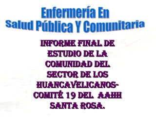 Enfermería En  Salud Pública Y Comunitaria Informe Final de Estudio de la Comunidad del Sector de los Huancavelicanos- Comité 19 del  AAHH Santa Rosa. 