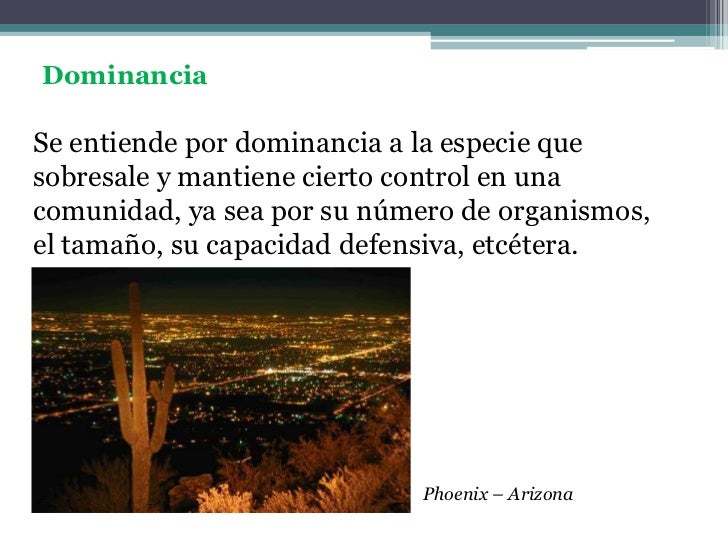Comunidad Comunidad
