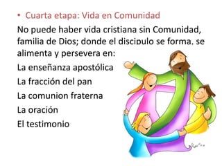 • Cuarta etapa: Vida en Comunidad
No puede haber vida cristiana sin Comunidad,
familia de Dios; donde el discipulo se forma, se
alimenta y persevera en:
La enseñanza apostólica
La fracción del pan
La comunion fraterna
La oración
El testimonio
 
