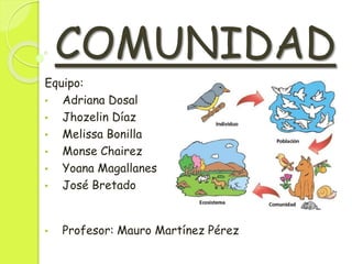 Ejemplo De Comunidad Biologica