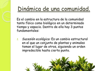 Comunidad-Ecologia