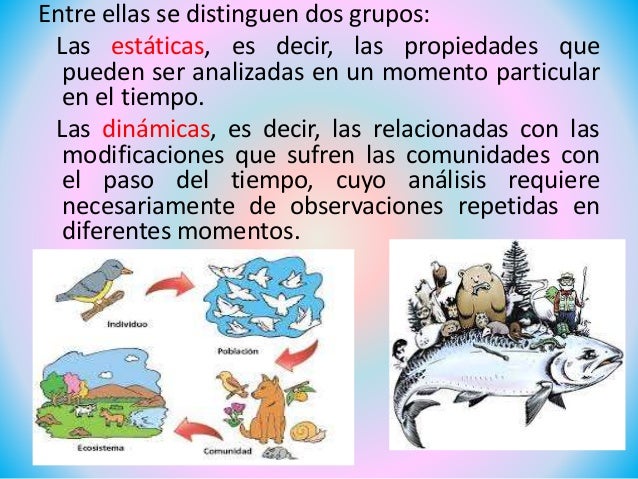 Comunidad biologica