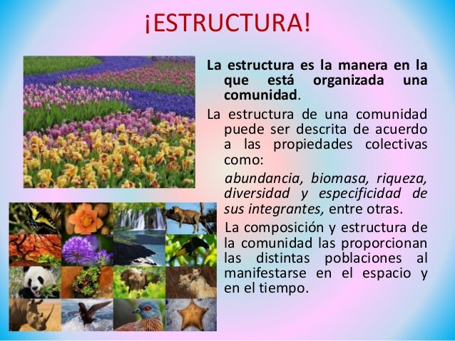 Comunidad biologica