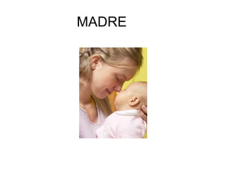 MADRE
 