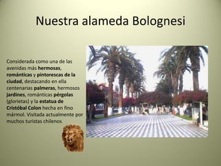 Nuestra alameda Bolognesi
Considerada como una de las
avenidas más hermosas,
románticas y pintorescas de la
ciudad, destacando en ella
centenarias palmeras, hermosos
jardines, románticas pérgolas
(glorietas) y la estatua de
Cristóbal Colon hecha en fino
mármol. Visitada actualmente por
muchos turistas chilenos

 