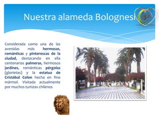Nuestra alameda Bolognesi
Considerada como una de las
avenidas
más
hermosas,
románticas y pintorescas de la
ciudad, destacando en ella
centenarias palmeras, hermosos
jardines, románticas pérgolas
(glorietas) y la estatua de
Cristóbal Colon hecha en fino
mármol. Visitada actualmente
por muchos turistas chilenos

 