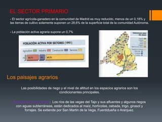 EL SECTOR PRIMARIO
- El sector agrícola-ganadero en la comunidad de Madrid es muy reducido, menos de un 0,18% y
las tierras de cultivo solamente suponen un 28,6% de la superficie total de la comunidad Autónoma.
- La población activa agraria supone un 0,7%
Los paisajes agrarios
Las posibilidades de riego y el nivel de altitud en los espacios agrarios son los
condicionantes principales.
Regadíos de las Vegas: Los ríos de las vegas del Tajo y sus afluentes y algunos riegos
con aguas subterráneas, están dedicados al maíz, hortícolas, cebada, trigo, girasol y
forrajes. Se extiende por San Martin de la Vega, Fuentidueña o Aranjuez.
 