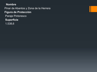 Nombre
Pinar de Abantos y Zona de la Herrera
Figura de Protección
Paraje Pintoresco
Superficie
1.538,6
 
