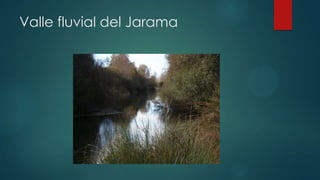 Valle fluvial del Jarama