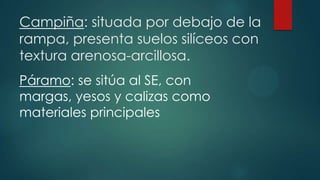Campiña: situada por debajo de la
rampa, presenta suelos silíceos con
textura arenosa-arcillosa.
Páramo: se sitúa al SE, con
margas, yesos y calizas como
materiales principales

 
