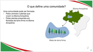 Seu Logotipo ou Nome Aqui
Seu Logotipo ou Nome Aqui
Seu Logotipo ou Nome Aqui
O que define uma comunidade?
12
Mata de terra firme
Uma comunidade pode ser formada:
- Pelos animais e plantas que
vivem no Bioma Amazônia
- Pelas plantas presentes em
florestas de terra firma no Bioma
Amazônia
Bioma Amazônia
 
