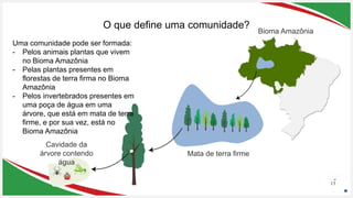 Seu Logotipo ou Nome Aqui
Seu Logotipo ou Nome Aqui
Seu Logotipo ou Nome Aqui
O que define uma comunidade?
13
Bioma Amazônia
Cavidade da
árvore contendo
água
Mata de terra firme
Uma comunidade pode ser formada:
- Pelos animais plantas que vivem
no Bioma Amazônia
- Pelas plantas presentes em
florestas de terra firma no Bioma
Amazônia
- Pelos invertebrados presentes em
uma poça de água em uma
árvore, que está em mata de terra
firme, e por sua vez, está no
Bioma Amazônia
 