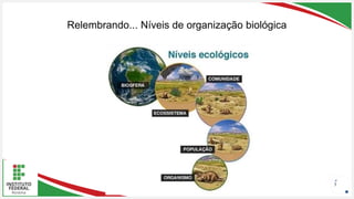 Seu Logotipo ou Nome Aqui
Seu Logotipo ou Nome Aqui
Seu Logotipo ou Nome Aqui
Relembrando... Níveis de organização biológica
3
 