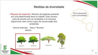 Seu Logotipo ou Nome Aqui
Seu Logotipo ou Nome Aqui
Seu Logotipo ou Nome Aqui
Medidas de diversidade
47
Espécie A Espécie A Espécie B
Espécie C
Como descrever
uma comunidade?
Espécie A
- Riqueza de espécies: Número de espécies presente
em uma determinada área ou habitat. Este número
varia de acordo com as condições e os recursos
disponíveis, bem como o grau de conservação dos
ambientes
- Riqueza de espécies: Número de espécies presente
em uma determinada área ou habitat. Este número
varia de acordo com as condições e os recursos
disponíveis, bem como o grau de conservação dos
ambientes
Vamos entender... Veja a “floresta”
abaixo:
 
