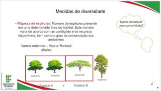 Seu Logotipo ou Nome Aqui
Seu Logotipo ou Nome Aqui
Seu Logotipo ou Nome Aqui
Medidas de diversidade
48
Espécie A Espécie A Espécie B
Espécie C
Como descrever
uma comunidade?
Espécie A Espécie B
+
- Riqueza de espécies: Número de espécies presente
em uma determinada área ou habitat. Este número
varia de acordo com as condições e os recursos
disponíveis, bem como o grau de conservação dos
ambientes
Vamos entender... Veja a “floresta”
abaixo:
 
