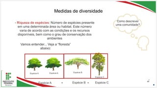 Seu Logotipo ou Nome Aqui
Seu Logotipo ou Nome Aqui
Seu Logotipo ou Nome Aqui
Medidas de diversidade
49
Espécie A Espécie A Espécie B
Espécie C
Como descrever
uma comunidade?
Espécie A Espécie B Espécie C
+ +
- Riqueza de espécies: Número de espécies presente
em uma determinada área ou habitat. Este número
varia de acordo com as condições e os recursos
disponíveis, bem como o grau de conservação dos
ambientes
Vamos entender... Veja a “floresta”
abaixo:
 