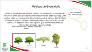 Seu Logotipo ou Nome Aqui
Seu Logotipo ou Nome Aqui
Seu Logotipo ou Nome Aqui
Medidas de diversidade
55
- Uniformidade/equitabilidade: medida da distribuição no número de
indivíduos entre as espécies (Representatividade de cada espécie). Uma
espécie pode ser considerada dominante quando o número de indivíduos
existentes supera o número de indivíduos de outras espécies. Já, por
sua vez, as espécies raras são aquelas que apresentam um baixo
número de indivíduos na comunidade
Espécie A Espécie A Espécie B
Espécie C
Como descrever
uma comunidade?
2 indivíduos
Vamos entender... Veja a “floresta”
abaixo:
 