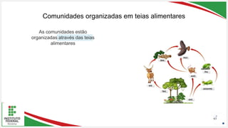 Seu Logotipo ou Nome Aqui
Seu Logotipo ou Nome Aqui
Seu Logotipo ou Nome Aqui
Comunidades organizadas em teias alimentares
63
As comunidades estão
organizadas através das teias
alimentares
 