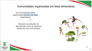 Seu Logotipo ou Nome Aqui
Seu Logotipo ou Nome Aqui
Seu Logotipo ou Nome Aqui
Comunidades organizadas em teias alimentares
64
As comunidades estão
organizadas através das teias
alimentares
Mostram as relações de
alimentação entre as espécies
dentro de uma comunidade
 