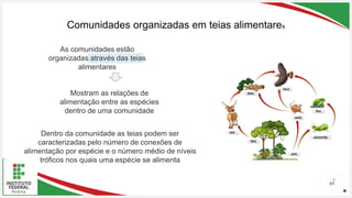 Seu Logotipo ou Nome Aqui
Seu Logotipo ou Nome Aqui
Seu Logotipo ou Nome Aqui
Comunidades organizadas em teias alimentares
65
As comunidades estão
organizadas através das teias
alimentares
Mostram as relações de
alimentação entre as espécies
dentro de uma comunidade
Dentro da comunidade as teias podem ser
caracterizadas pelo número de conexões de
alimentação por espécie e o número médio de níveis
tróficos nos quais uma espécie se alimenta
 
