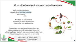 Seu Logotipo ou Nome Aqui
Seu Logotipo ou Nome Aqui
Seu Logotipo ou Nome Aqui
Comunidades organizadas em teias alimentares
66
As comunidades estão
organizadas através das teias
alimentares
Mostram as relações de
alimentação entre as espécies
dentro de uma comunidade
Dentro da comunidade as teias podem ser
caracterizadas pelo número de conexões de
alimentação por espécie e o número médio de níveis
tróficos nos quais uma espécie se alimenta
Vamos estudar melhor esse
assunto em Ecossistemas!
 