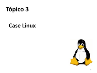 Tópico 3

 Case Linux




              19
 