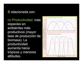 S relacionada con:
iv) Productividad: más
especies en
ambientes más
productivos (mayor
tasa de producción de
biomasa). La
productividad
aumenta hacia
trópicos y menores
altitudes.
 