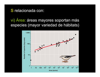 S relacionada con:
vi) Área: áreas mayores soportan más
especies (mayor variedad de hábitats)
 