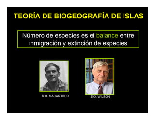 TEORÍA DE BIOGEOGRAFÍA DE ISLAS
Número de especies es el balance entre
inmigración y extinción de especies
E.O. WILSON
R.H. MACARTHUR
 